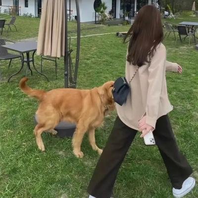 布兰丁斯城堡第二季